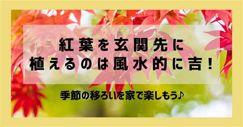 紅葉植物風水|紅葉を玄関に植えるのは風水的に吉!季節の移ろいを。